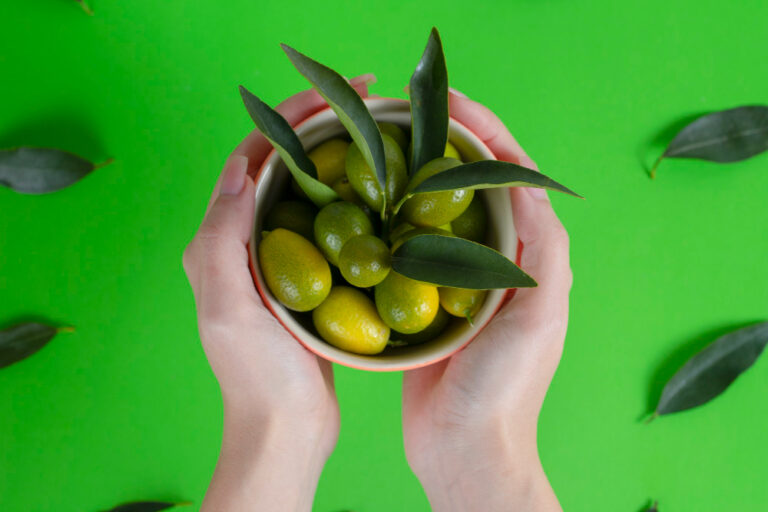 manfaat Buah zaitun