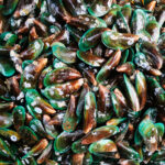Kerang hijau