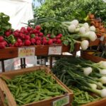 Bisnis sayur organik