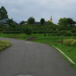 kebun raya
