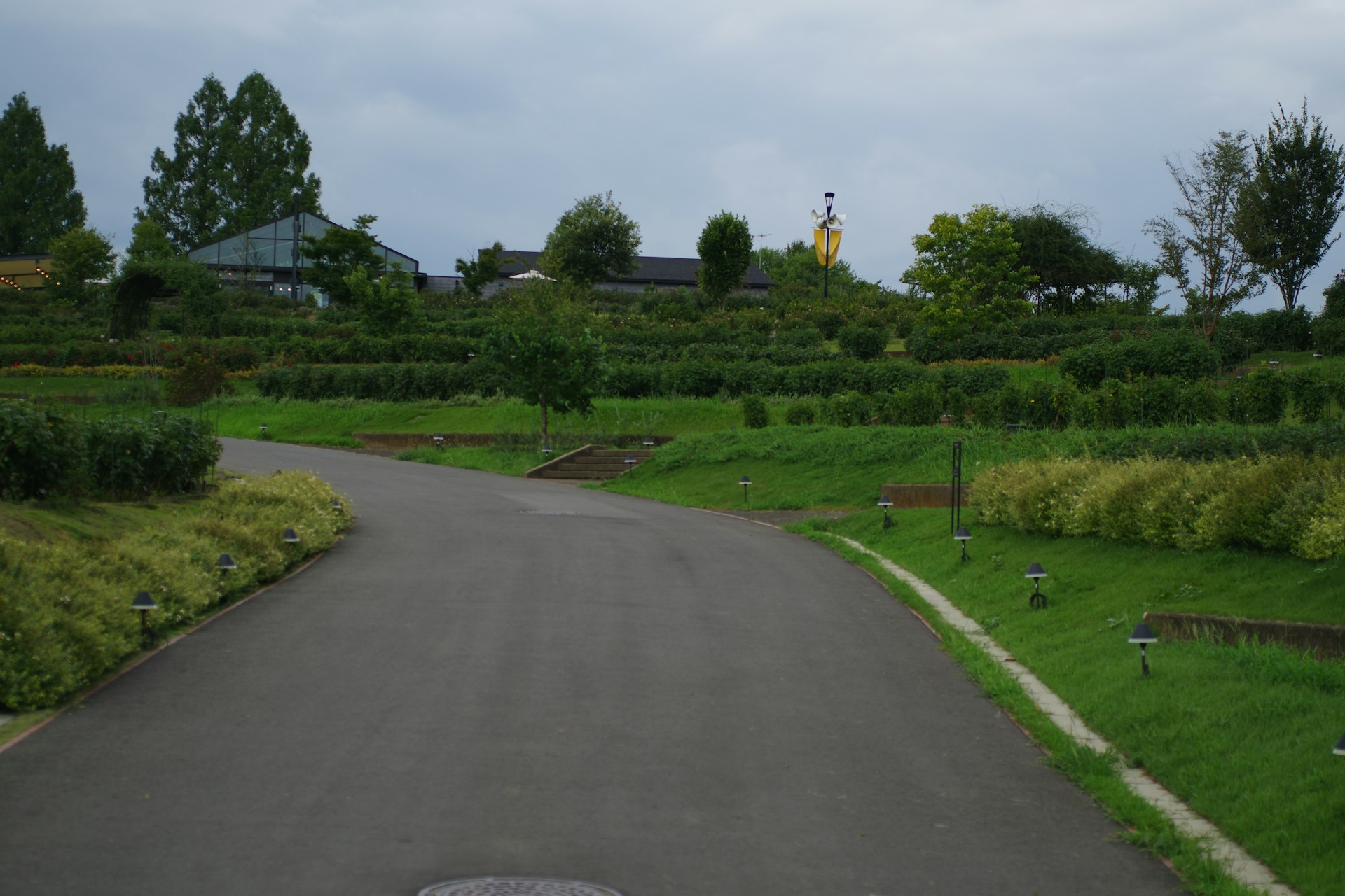 kebun raya