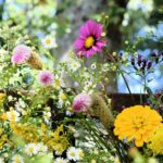 Taman bunga di rumah